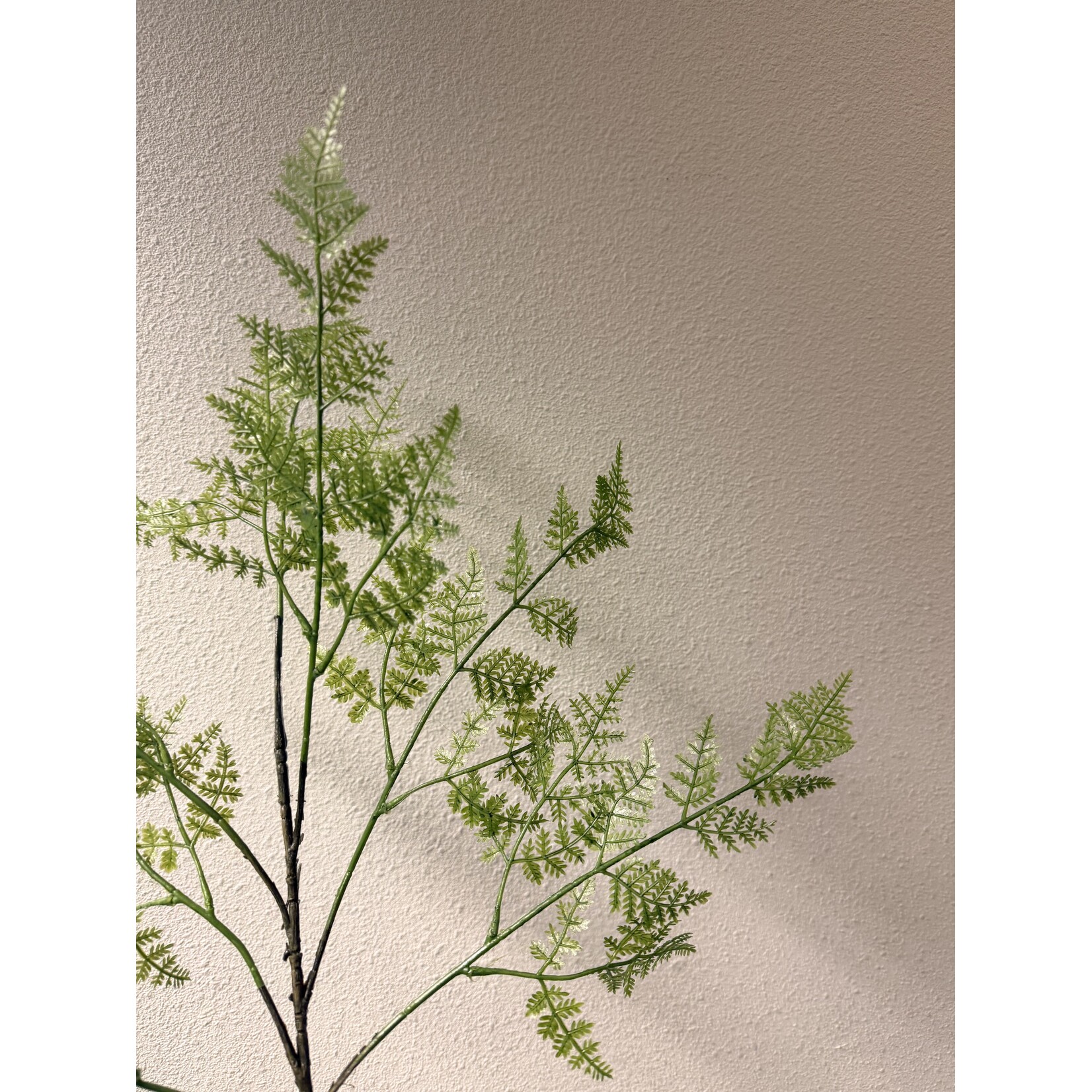 FERN BRANCH FALCATUS | GREEN | 87 CM