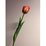 TULP | ROZE ORANJE | 61 CM