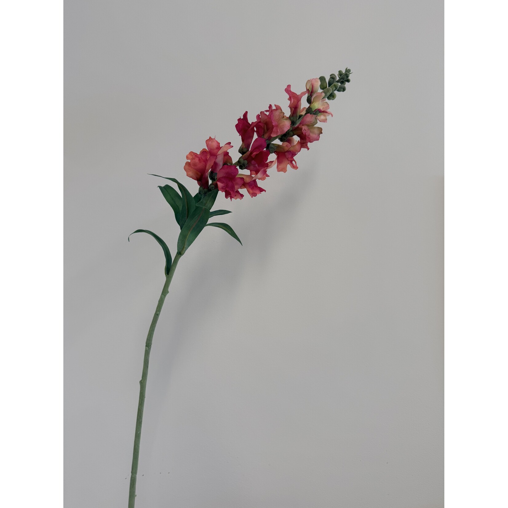 SNAPDRAGON | PINK | 93 CM