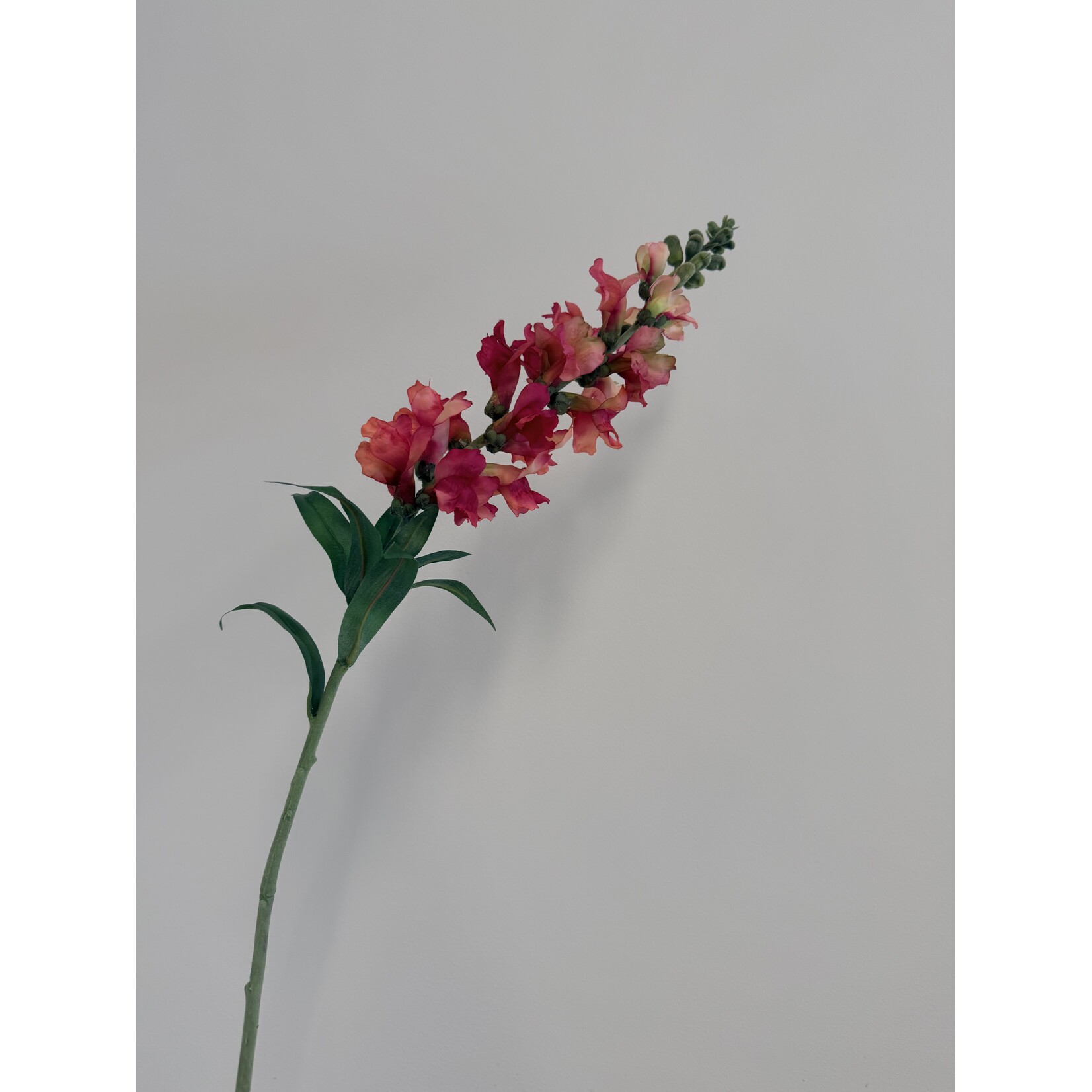 VLASLEEUWENBEK | ROZE | 93 CM