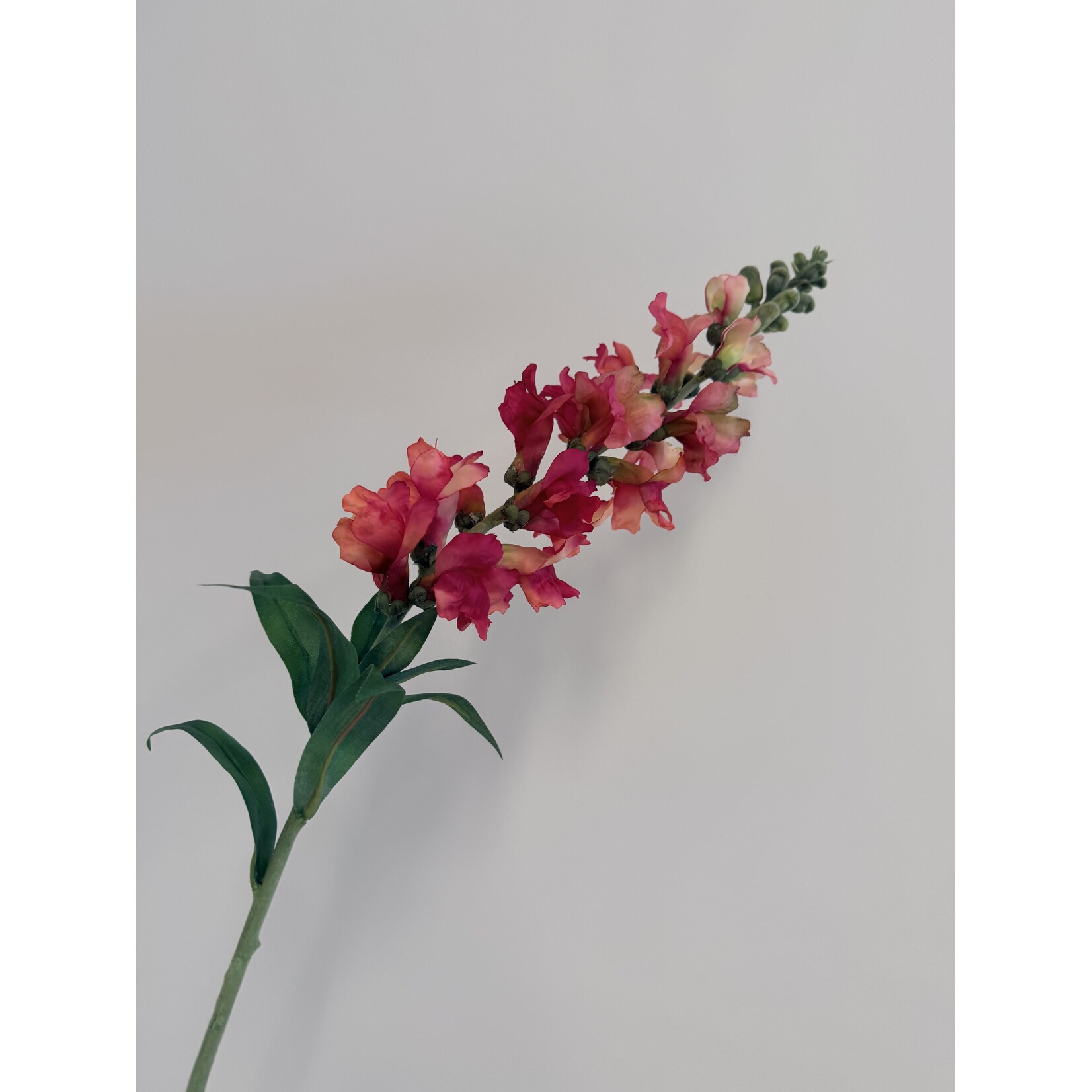 VLASLEEUWENBEK | ROZE | 93 CM