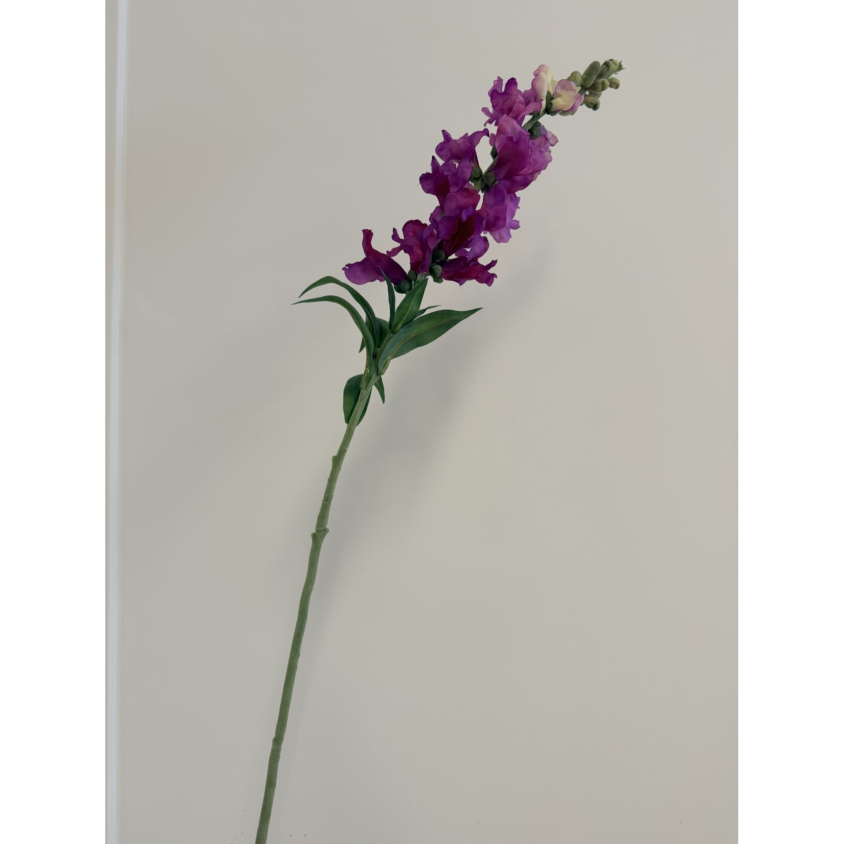 SNAPDRAGON | PURPLE | 93 CM