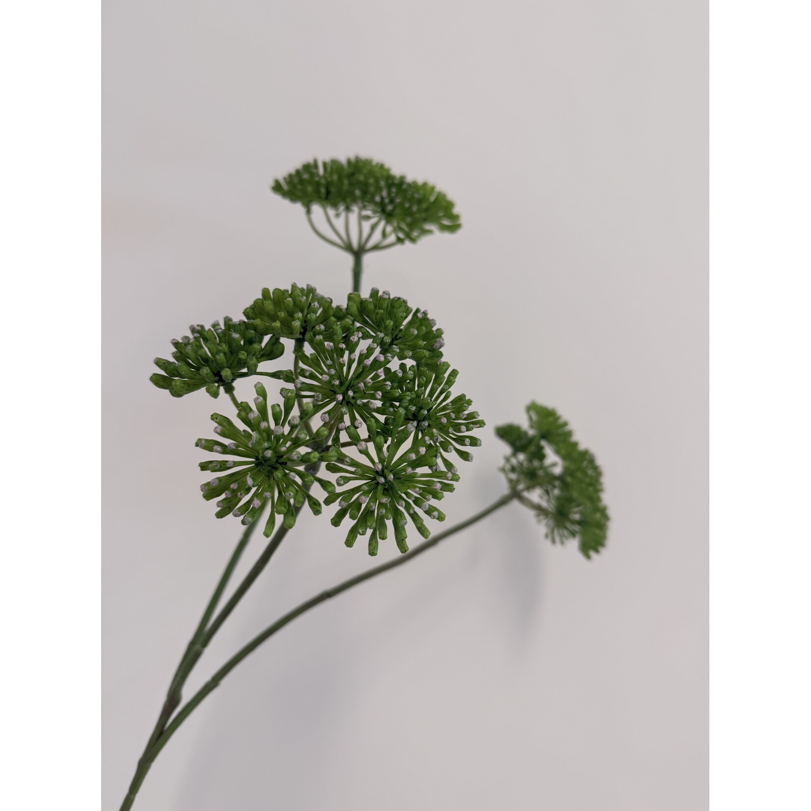 ANGELICA| GREEN | 83 CM