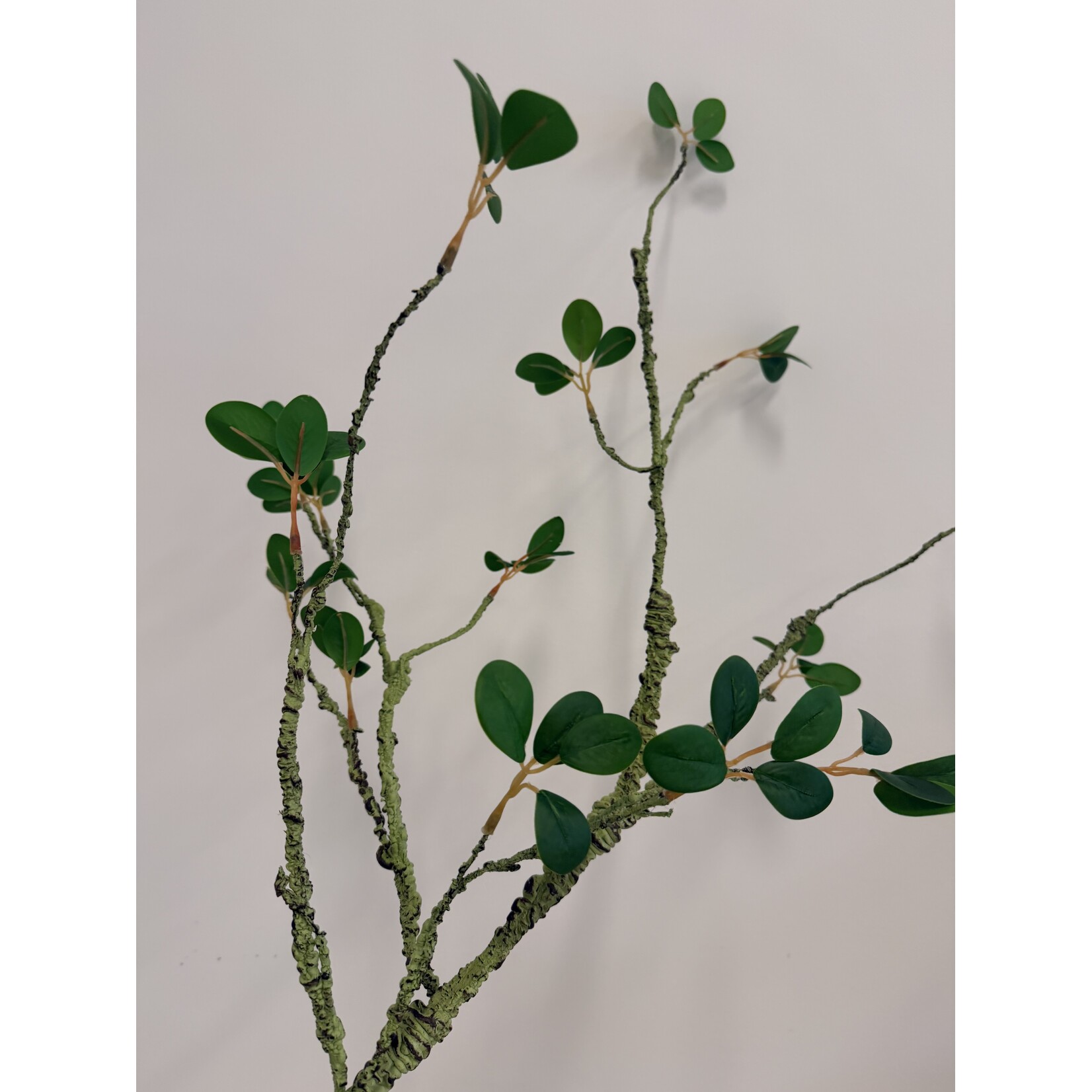 TAK XL MET BLAD | GROEN | 114 CM