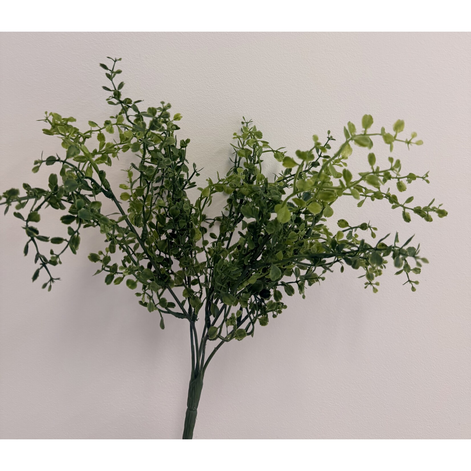 BUXUS STRUIKJE | GROEN | 39 CM