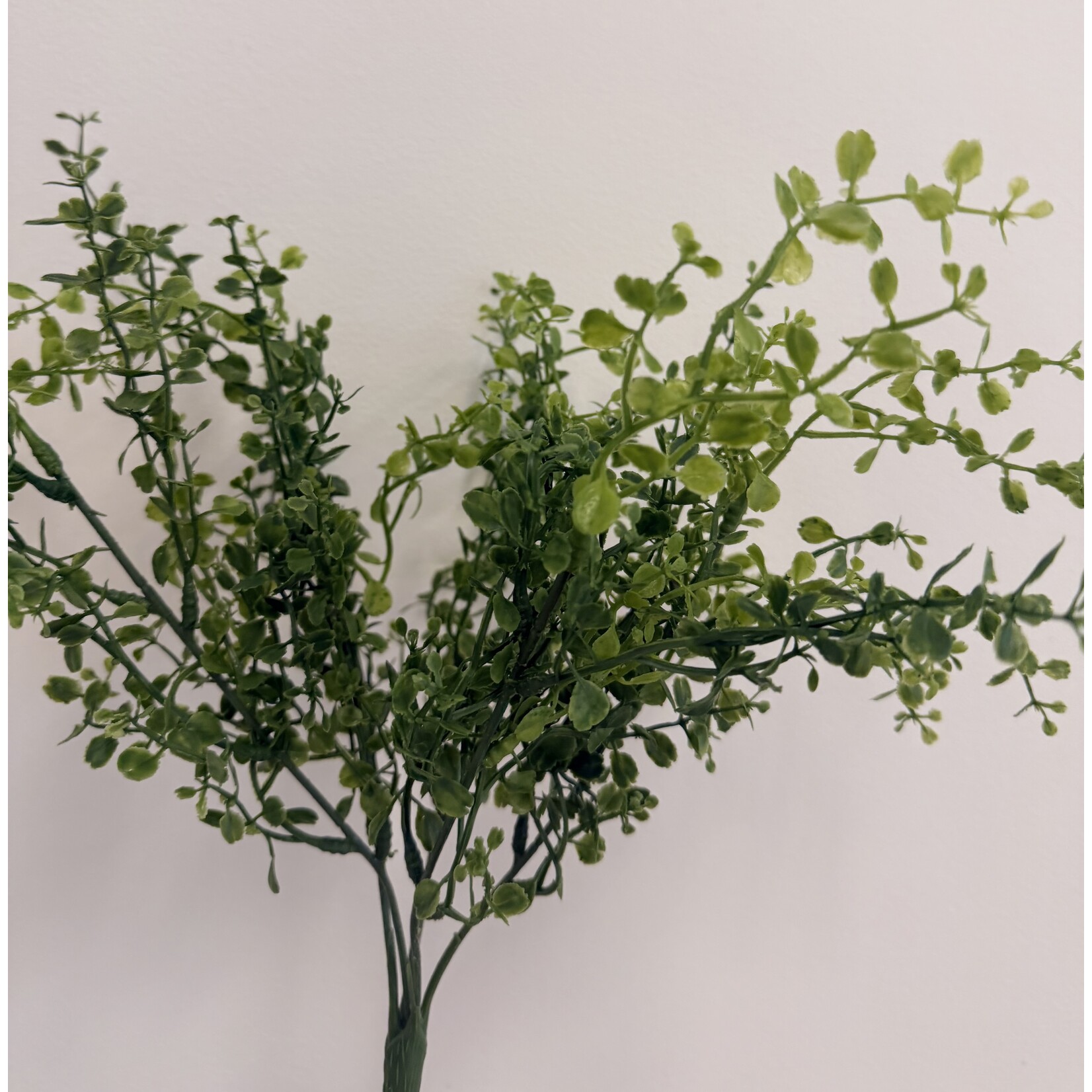 BOXWOOD | GREEN | 39 CM