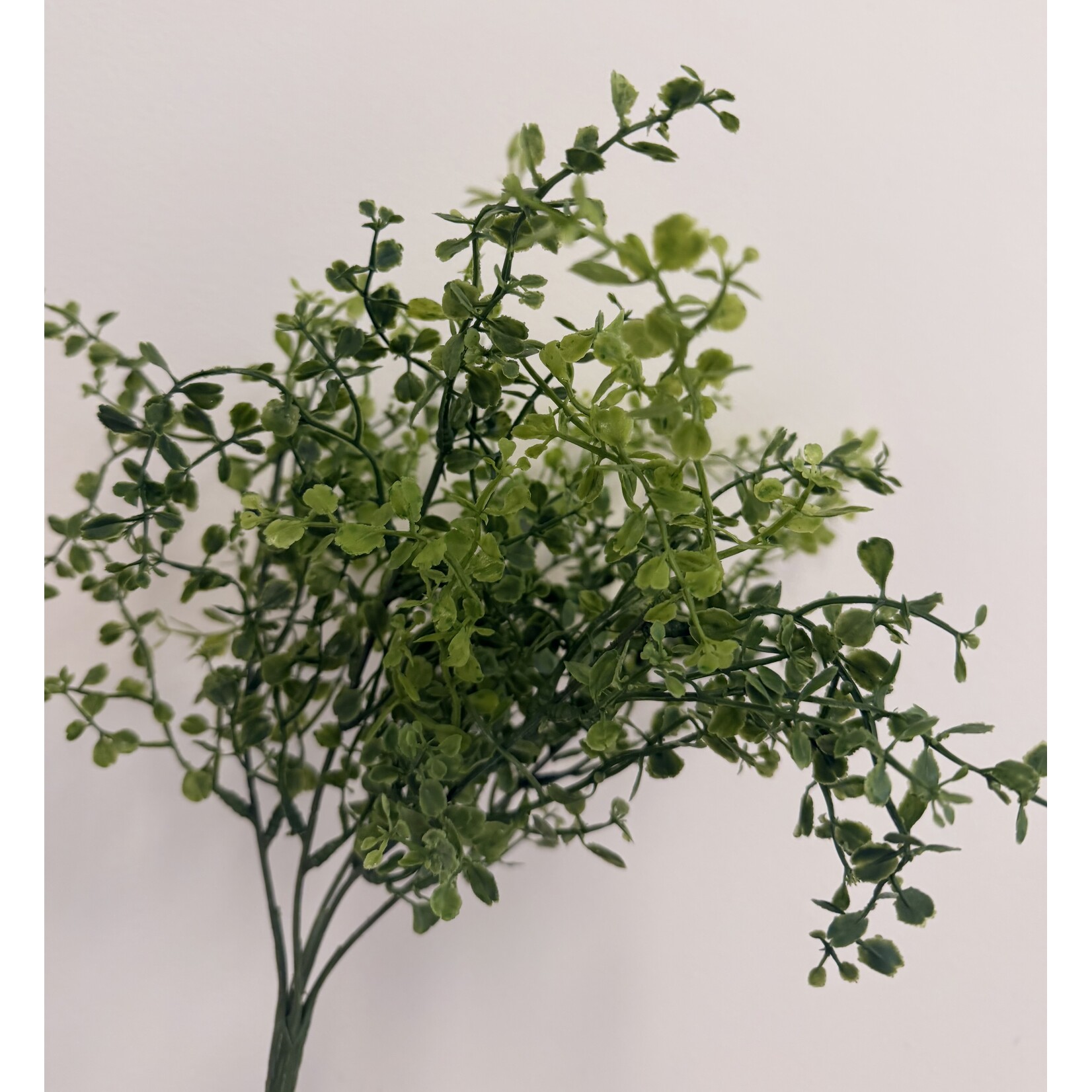 BUXUS STRUIKJE | GROEN | 39 CM
