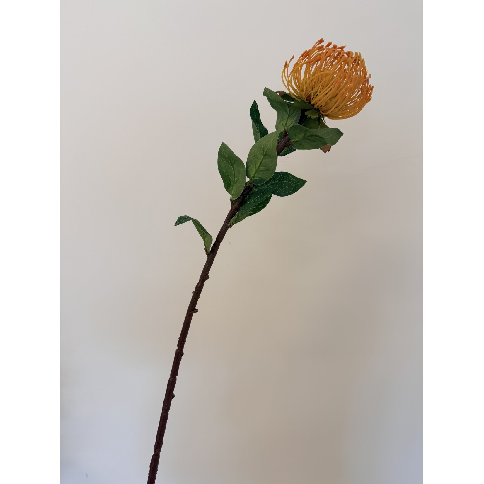 PROTEA | YELLOW | 72 CM