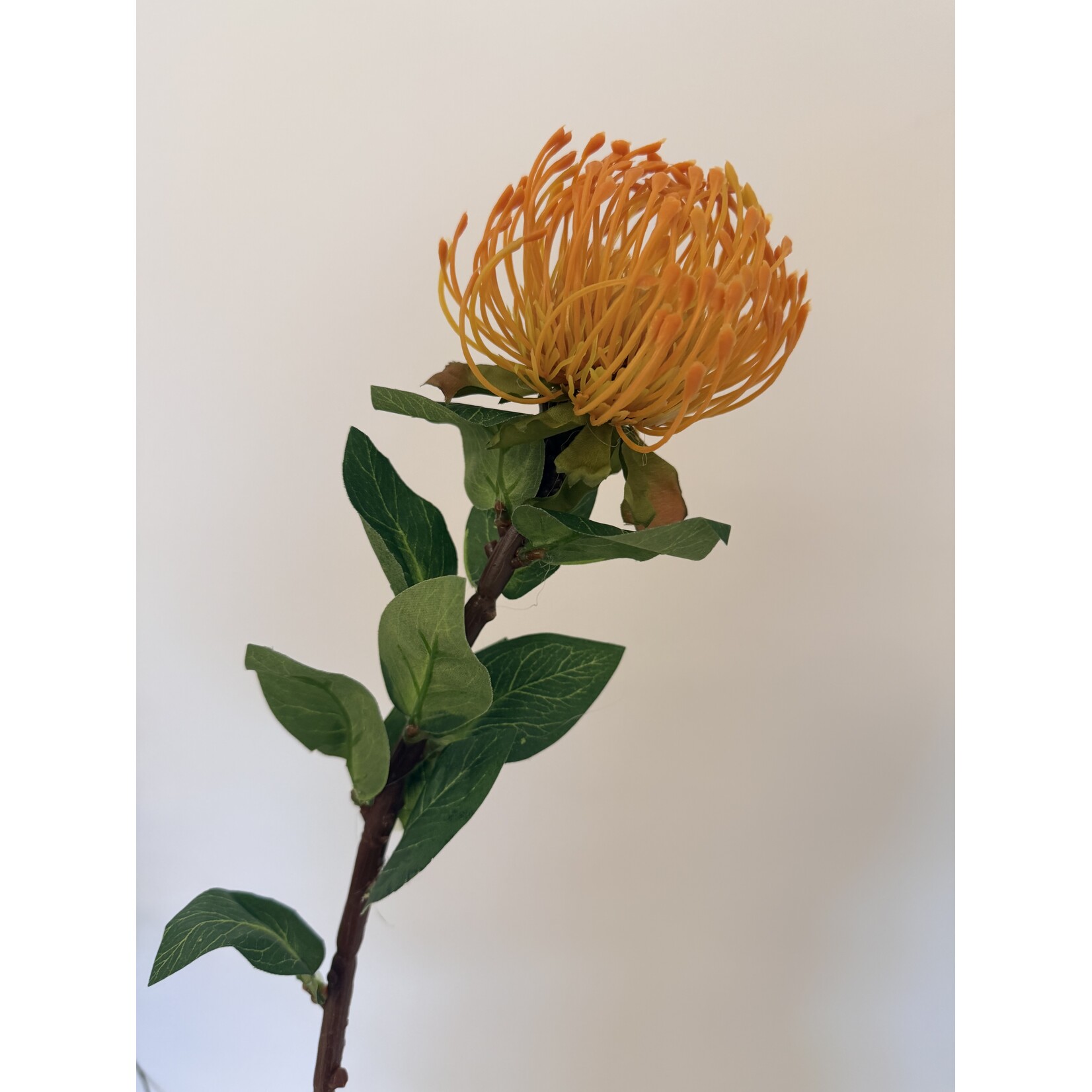 PROTEA | GEEL | 72 CM