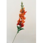 SNAPDRAGON | ORANGE | 93 CM