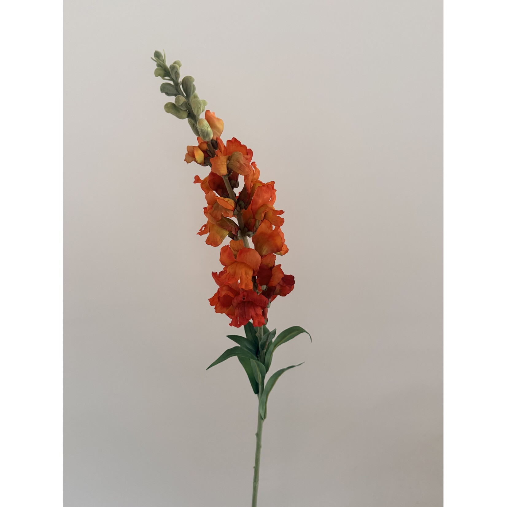 VLASLEEUWENBEK | ORANJE | 93 CM