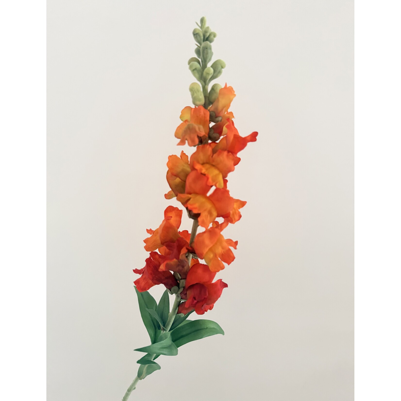 VLASLEEUWENBEK | ORANJE | 93 CM