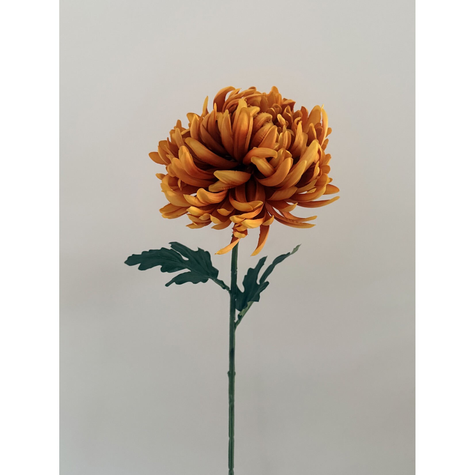 CHRYSANT  XL | ORANGE | 80 CM