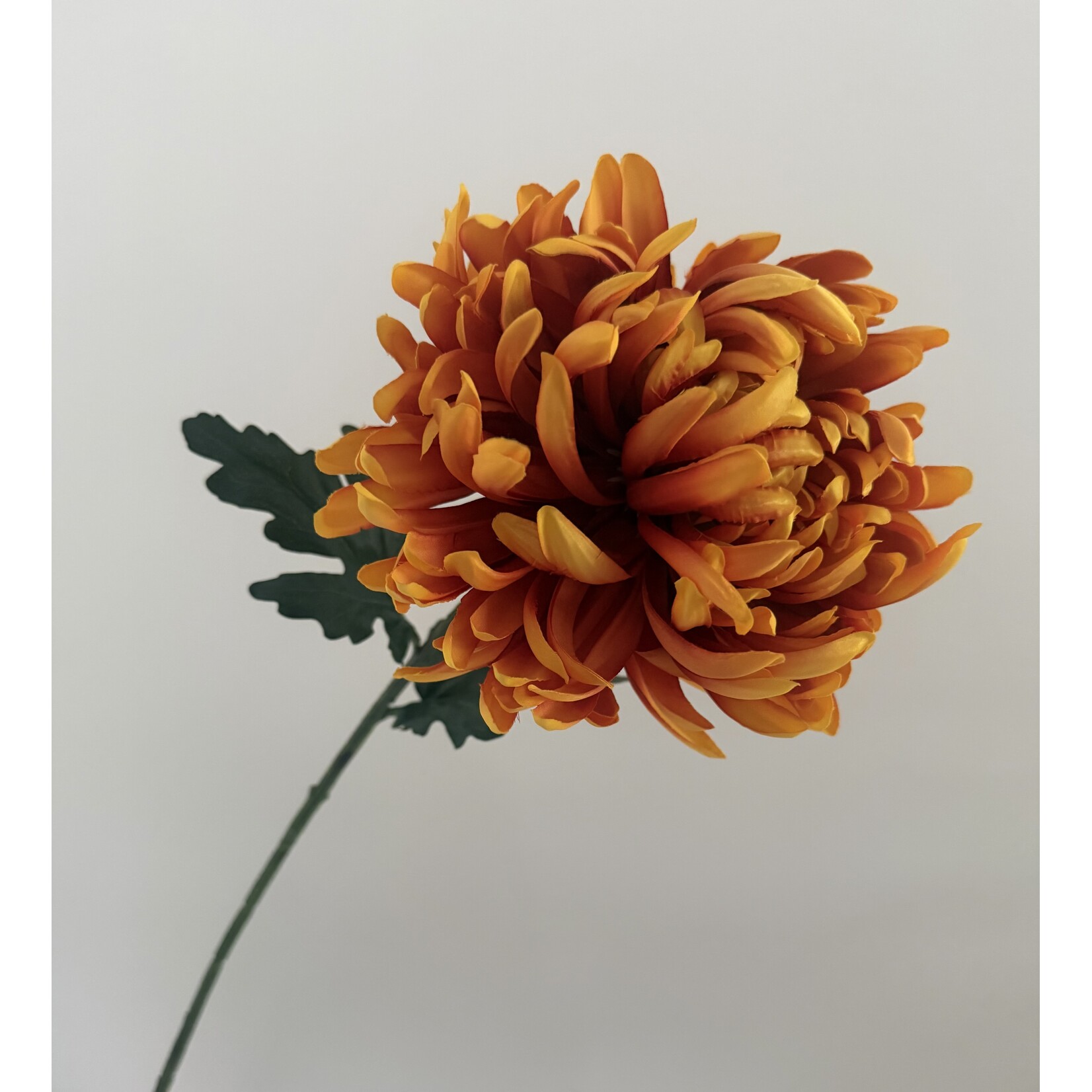 CHRYSANT XL | ORANJE | 80 CM