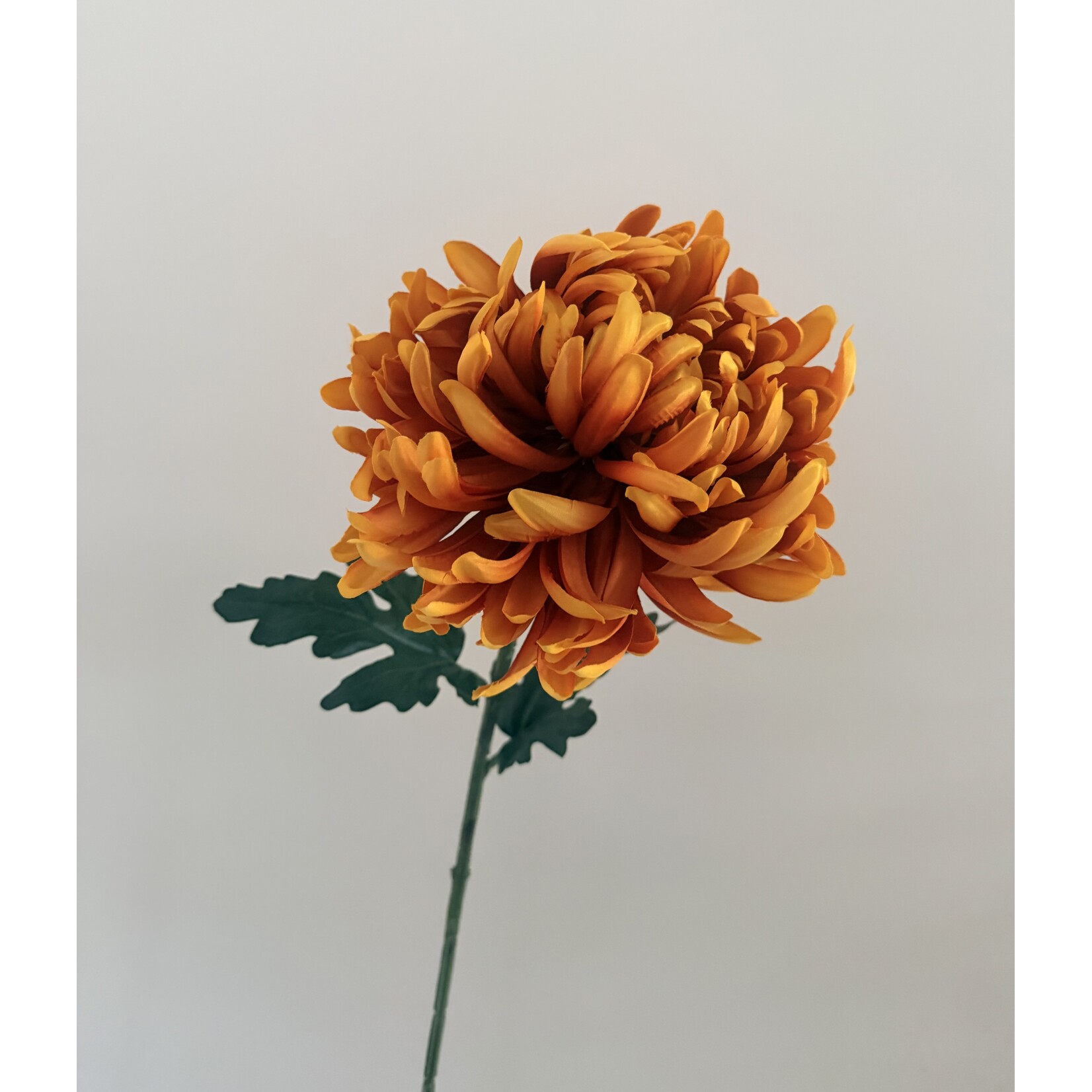 CHRYSANT XL | ORANJE | 80 CM
