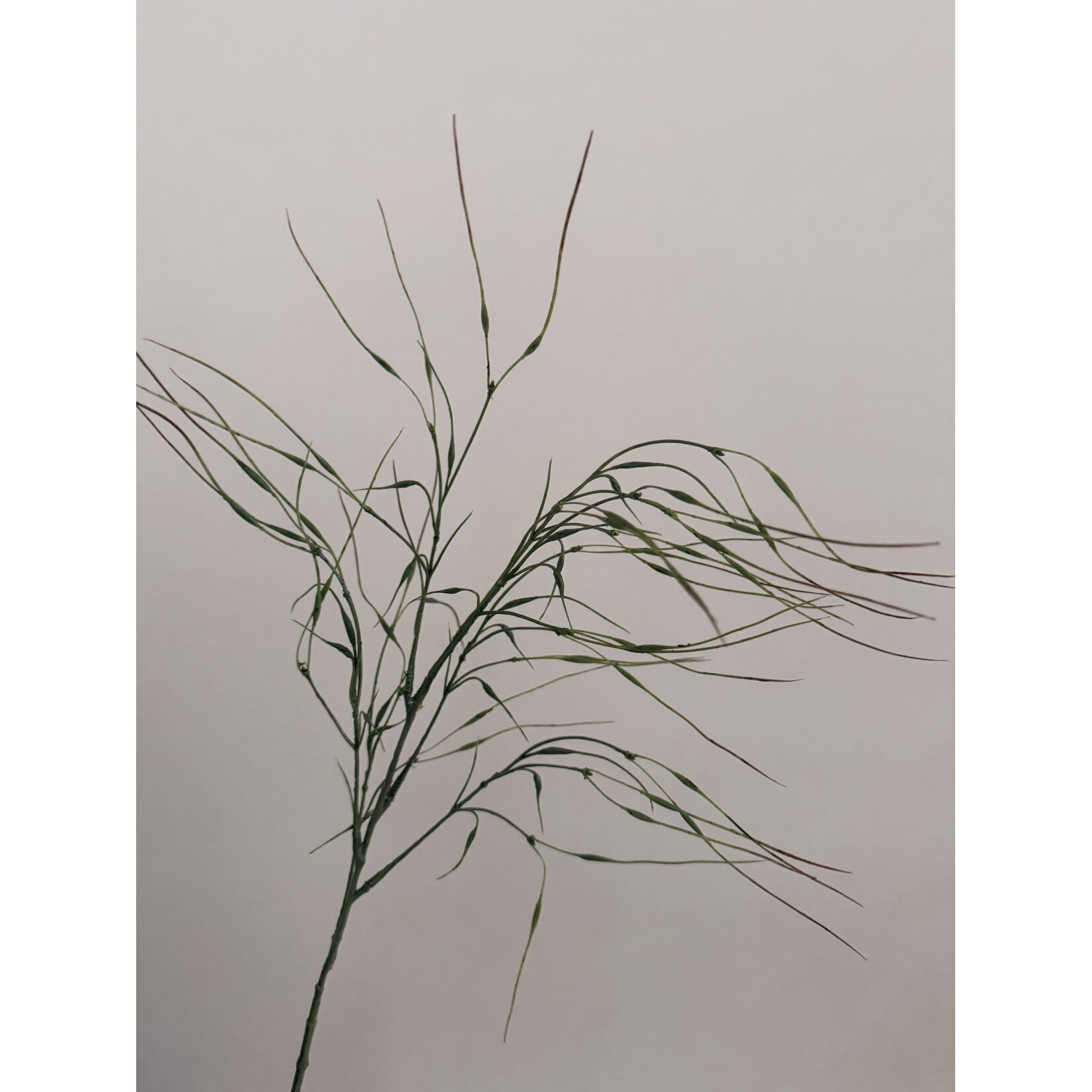 GRASS BRANCH FINE | GREEN | 78 CM