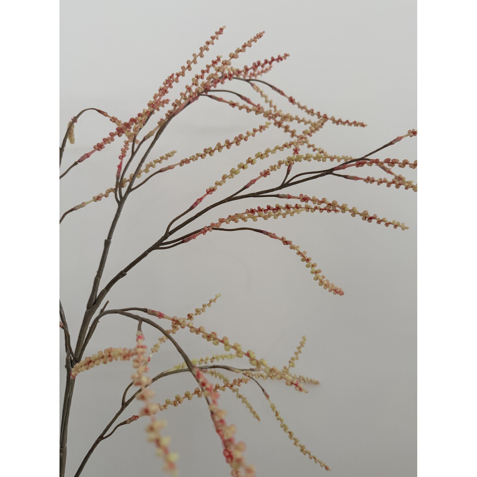 ASTILBE | ORANGE| 100 CM