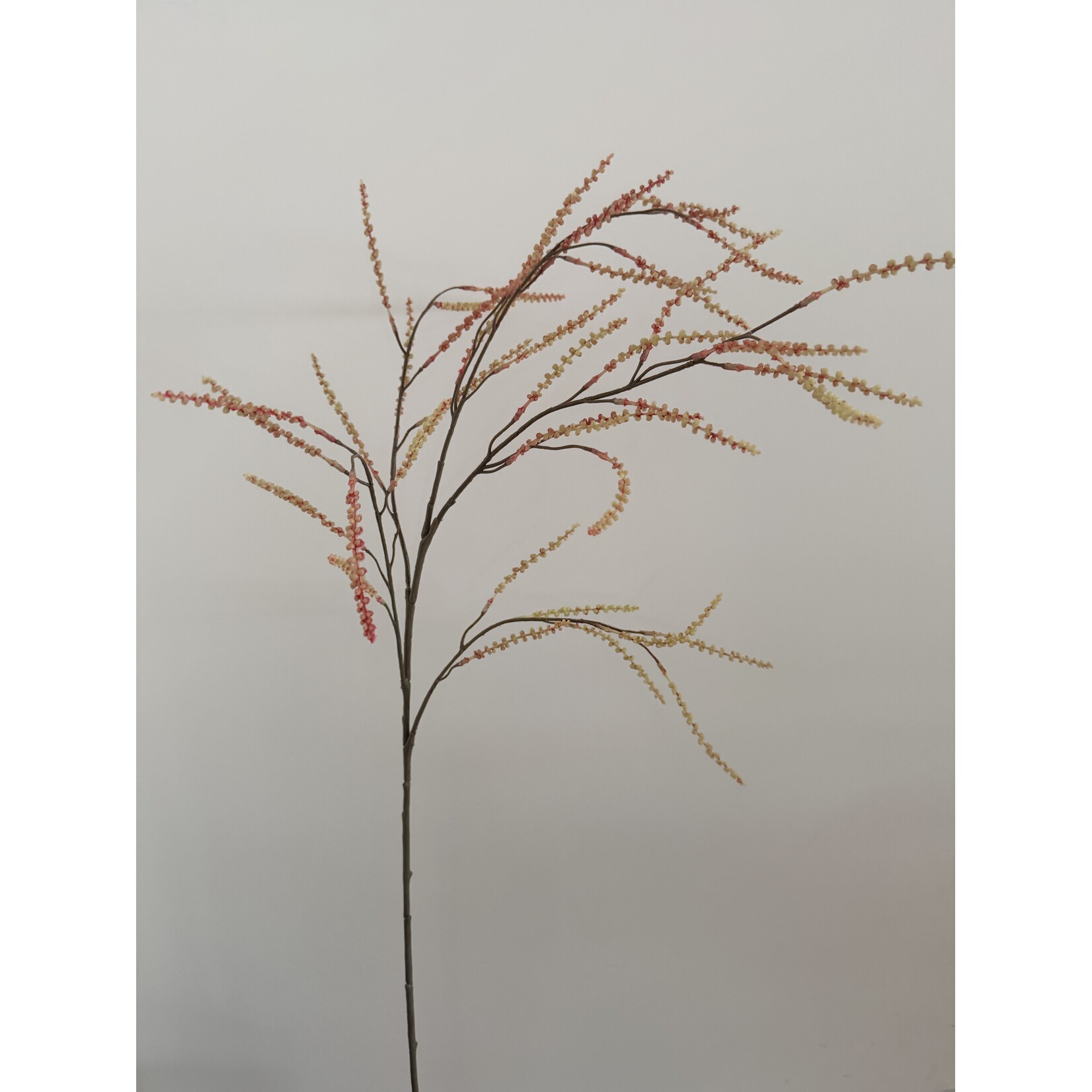 ASTILBE | ORANJE | 100 CM