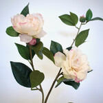 CAMELIA | ROZE | 85 CM