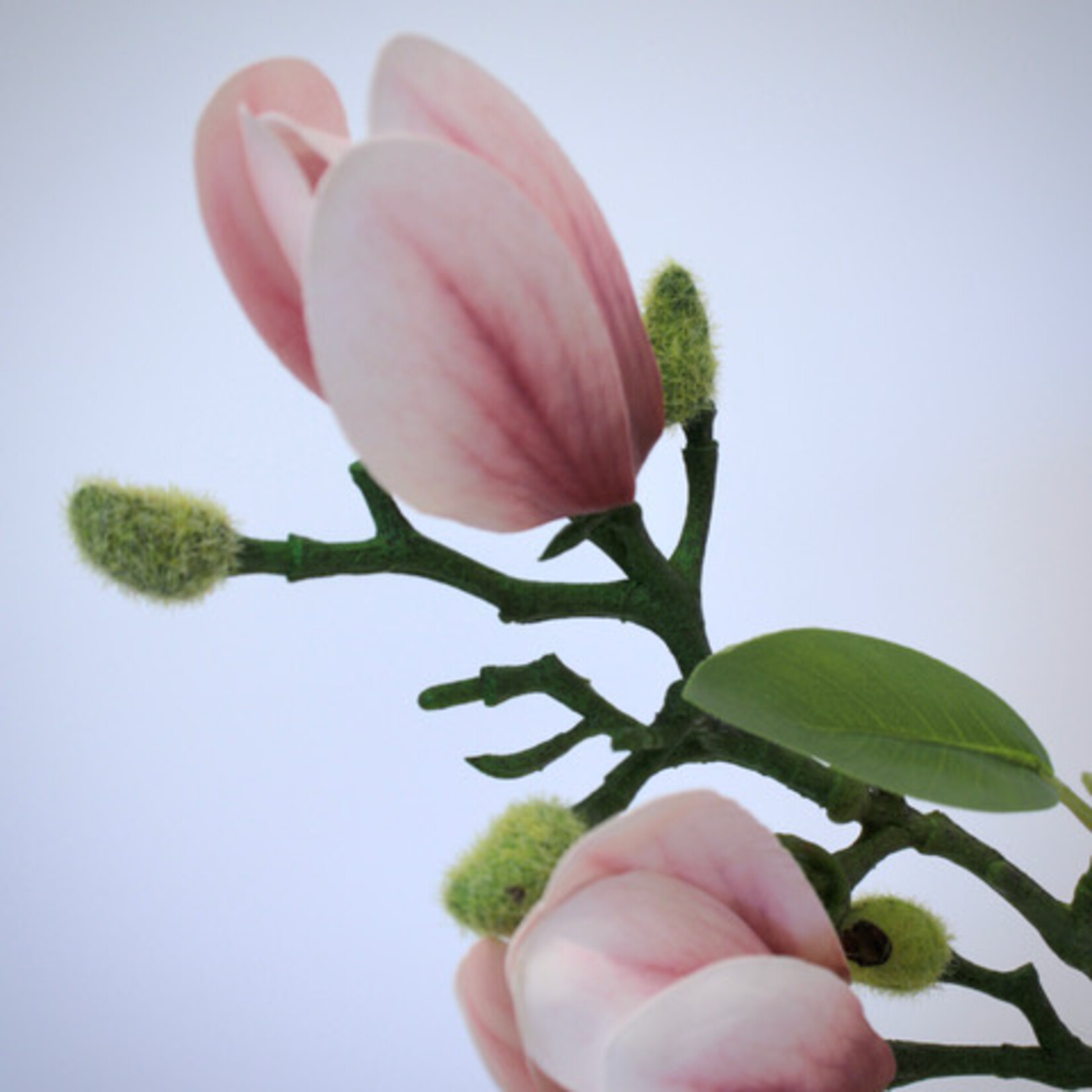 MAGNOLIA SVERIGES |LICHT ROZE| 67 CM