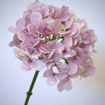 HYDRANGEA | LIGHT PINK | 50 CM