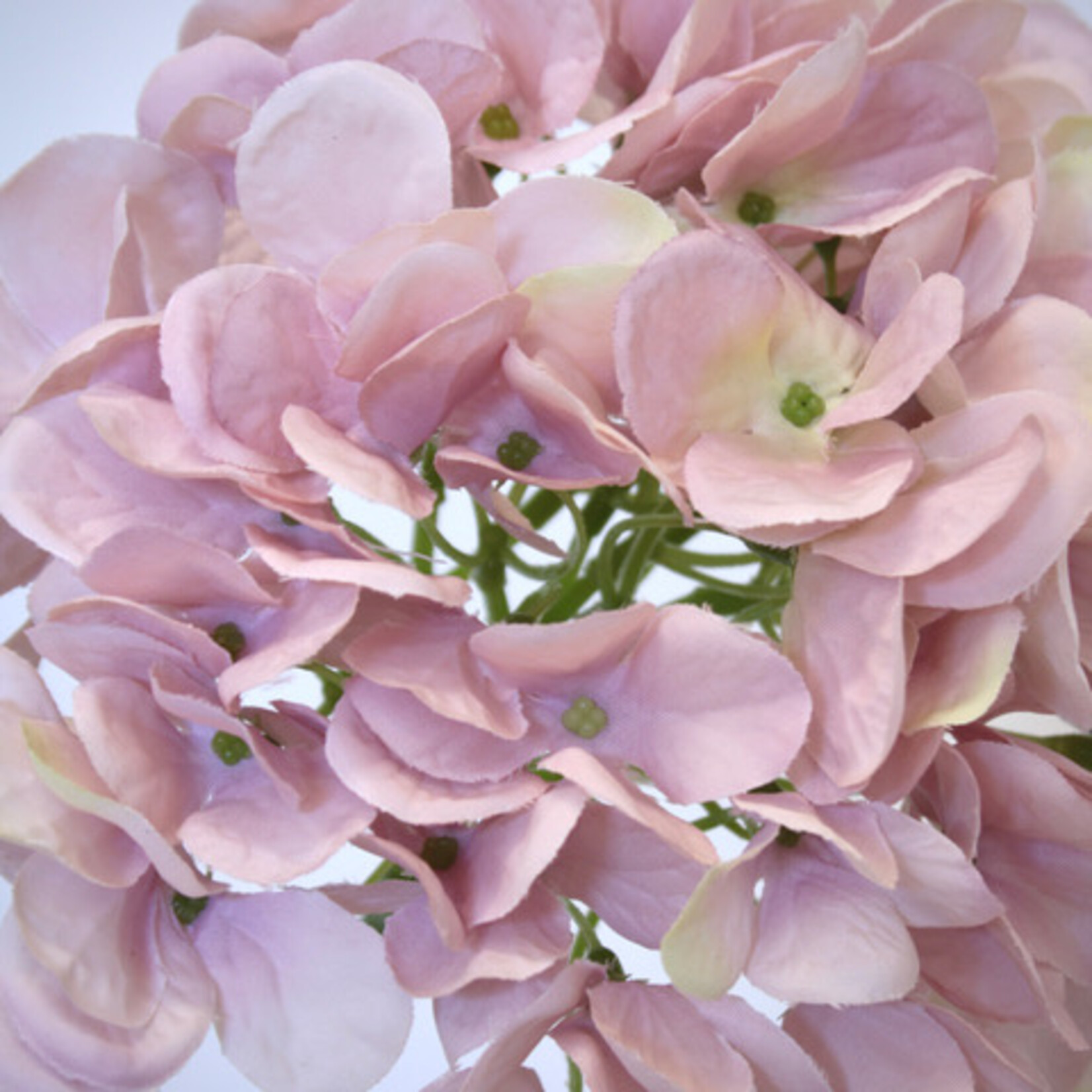 HYDRANGEA | LIGHT PINK | 50 CM