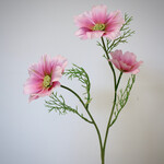 COSMOS | PINK| 65 CM