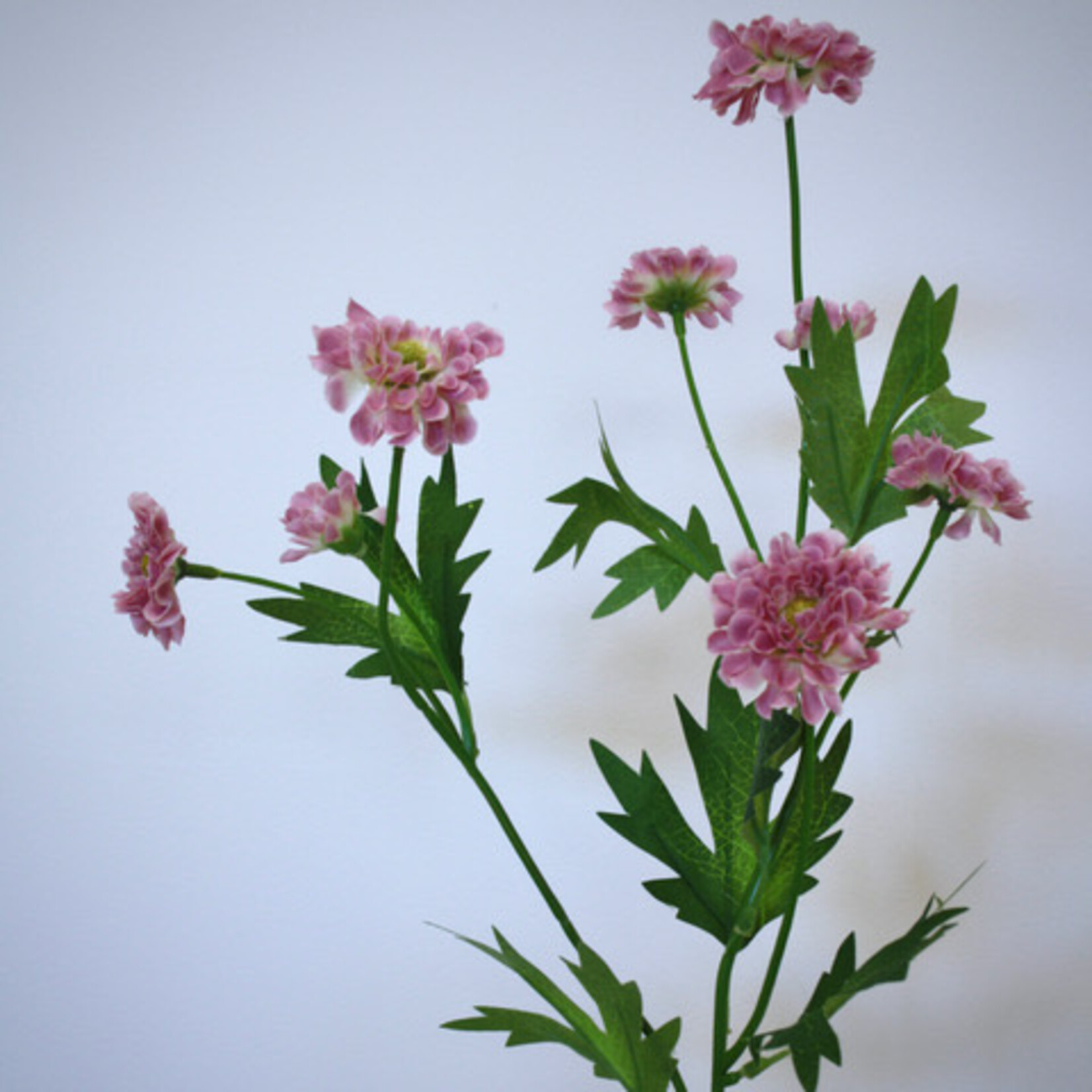 CHRYSANTHEMUM MINI | PINK | 64 CM
