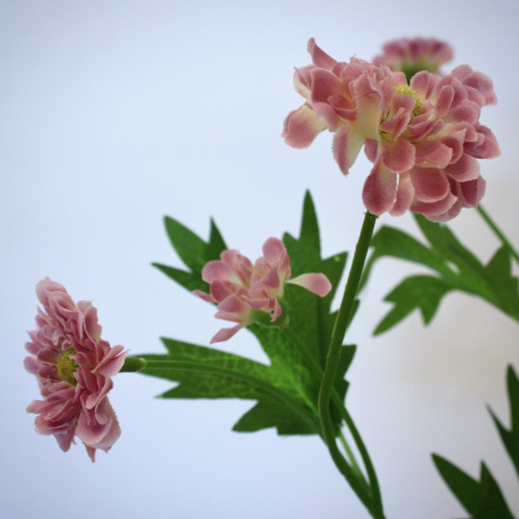 CHRYSANTHEMUM MINI | PINK | 64 CM