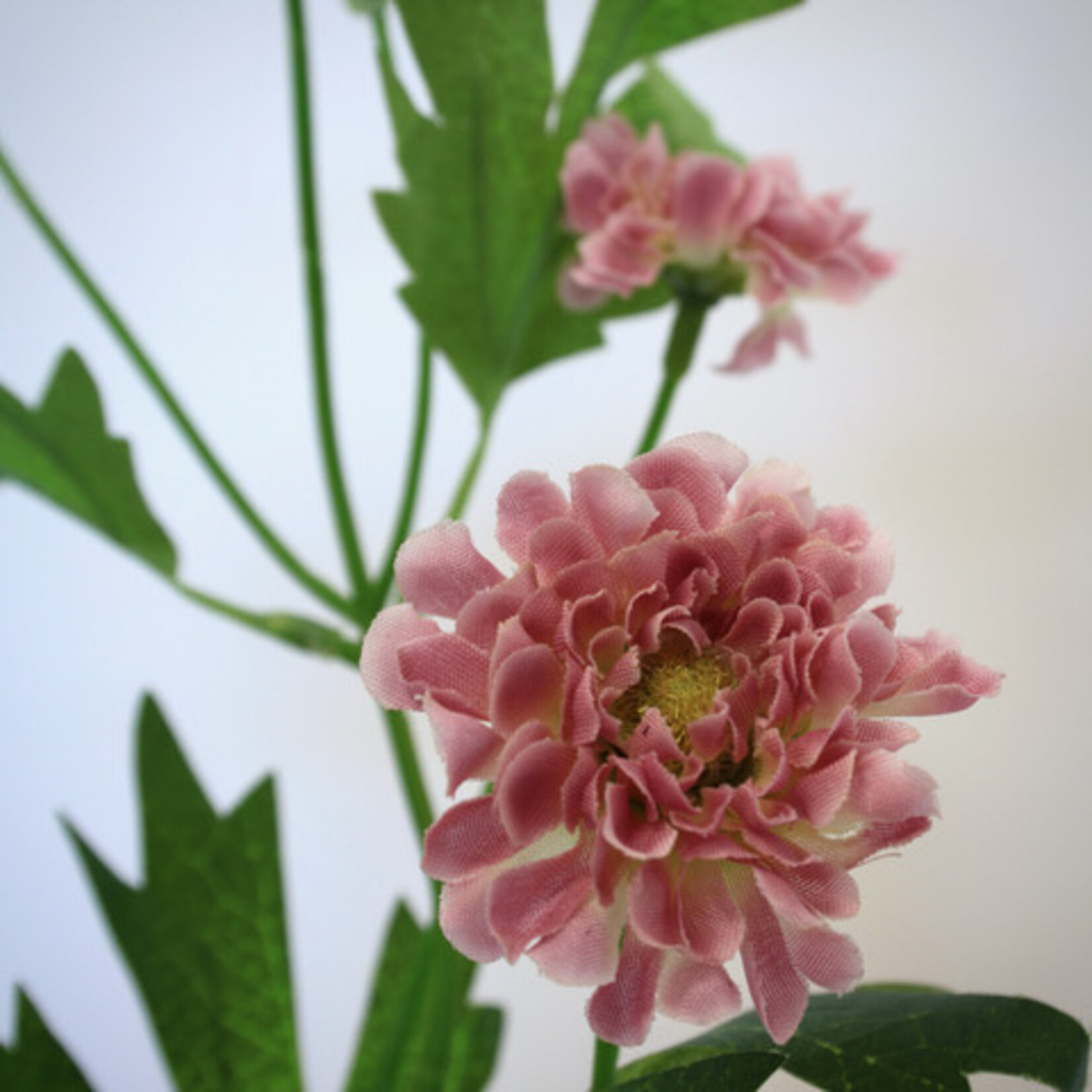 CHRYSANT MINI | ROZE | 64 CM