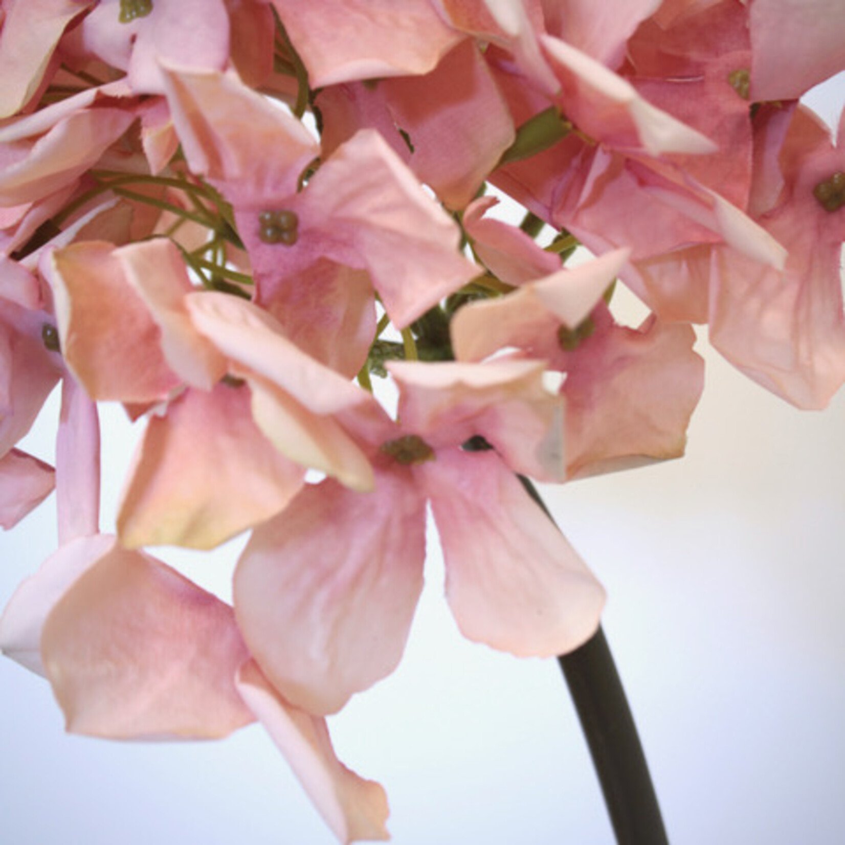 HYDRANGEA | OLD PINK| 50 CM