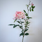 ROOS | ZACHT ROZE | 75 CM
