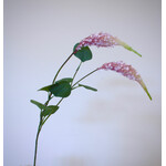 SETARIA | ROZE | 62 CM