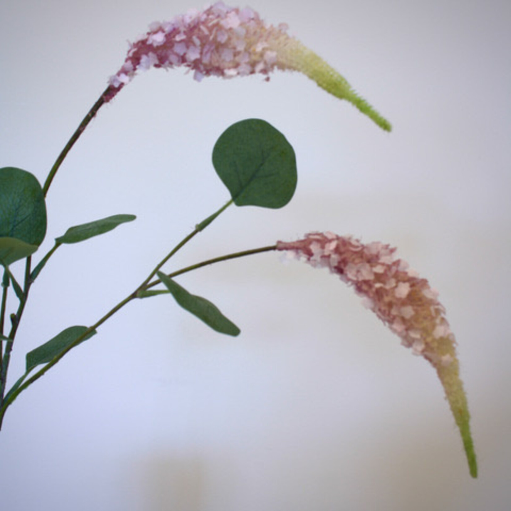 SETARIA | ROZE | 62 CM