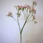 BABY'S BREATH | PINK | 70 CM