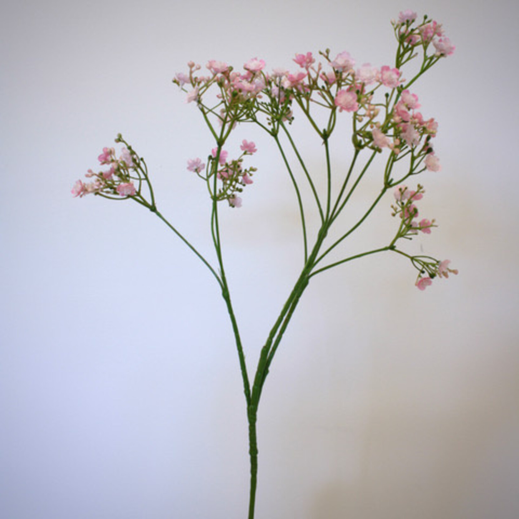 BABY'S BREATH ROSEA | PINK | 70 CM