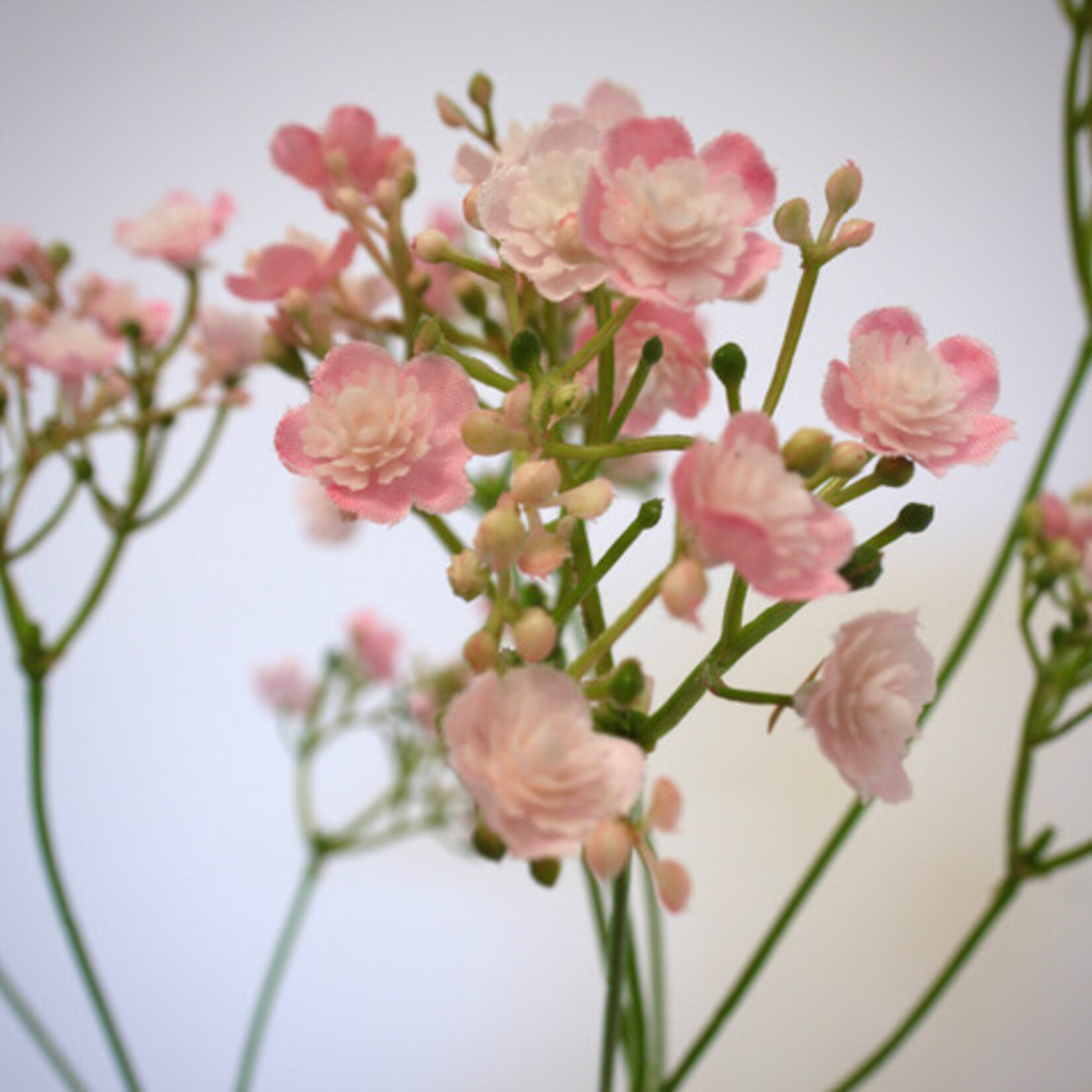 BABY'S BREATH ROSEA | PINK | 70 CM