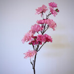 KERSEN BLOESEM | ROZE | 66 CM