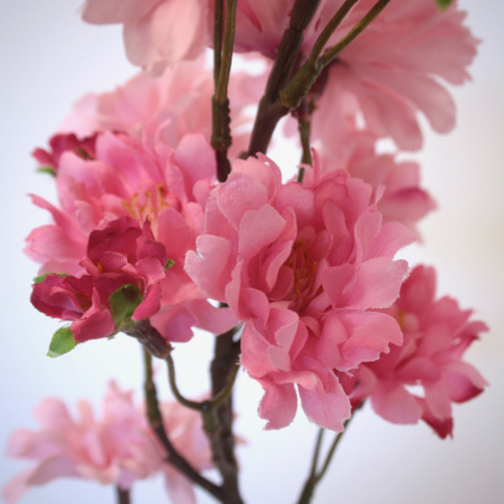 KERSEN BLOESEM | ROZE | 66 CM