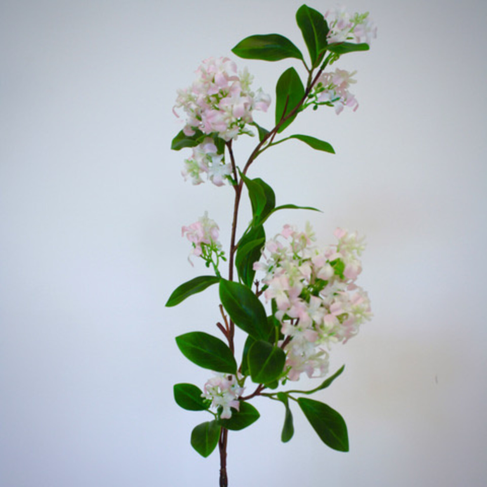 SERING TAK SUPERBA| LICHT ROZE | 76 CM