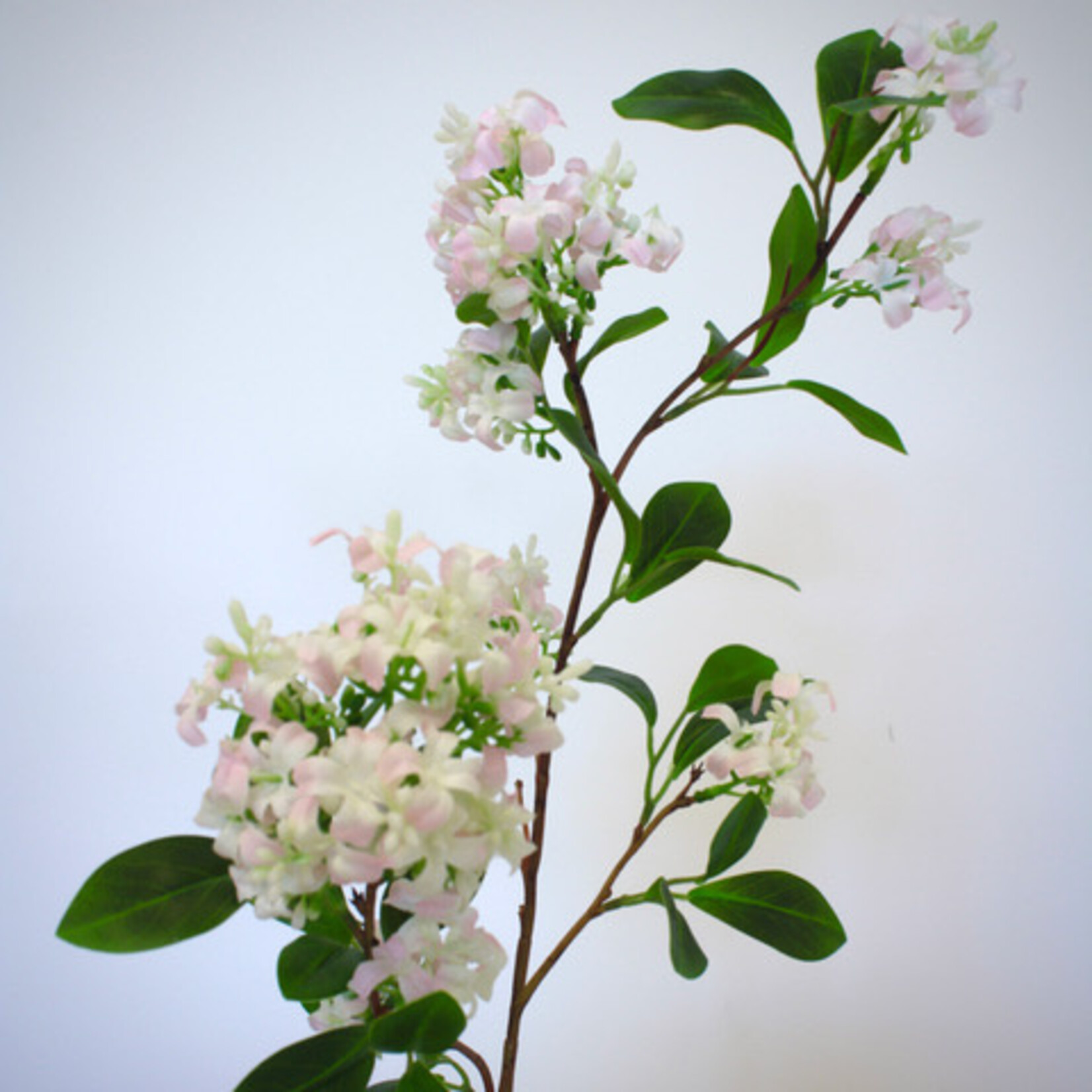 SERING TAK SUPERBA| LICHT ROZE | 76 CM