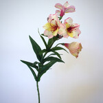 ALSTROEMERIA | LIGHT PINK | 75 CM