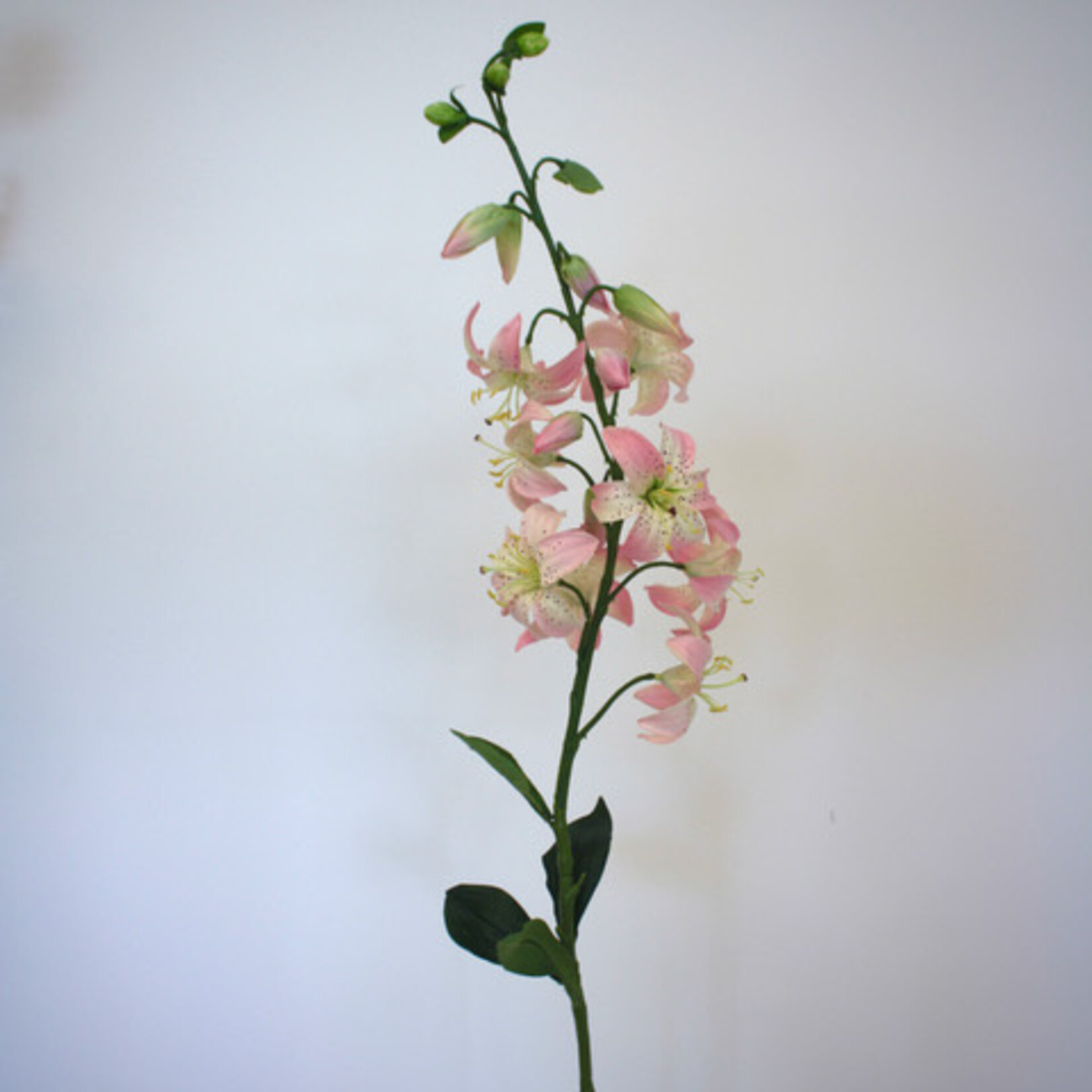 TURKSE LELIE| ROZE | 94 CM