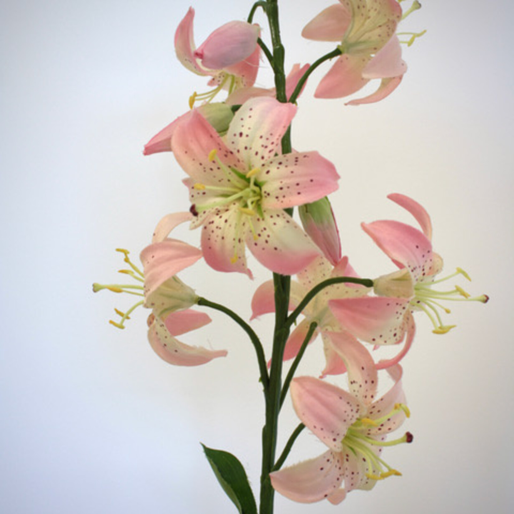 TURKISH LILY| PINK| 94 CM