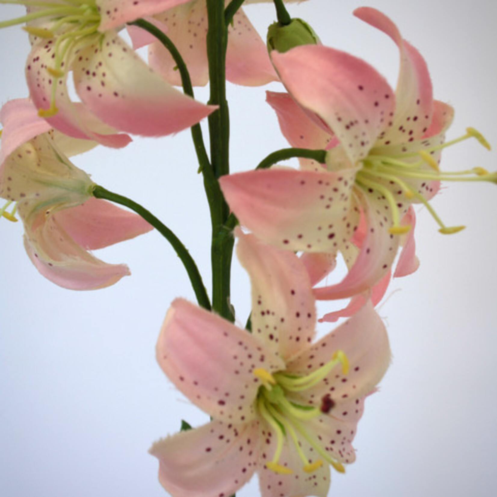 TURKSE LELIE| ROZE | 94 CM