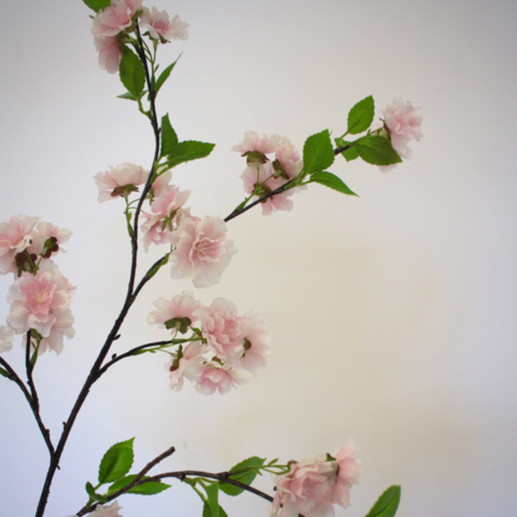 BLOESEM PRUNUS | ROZE | 95 CM