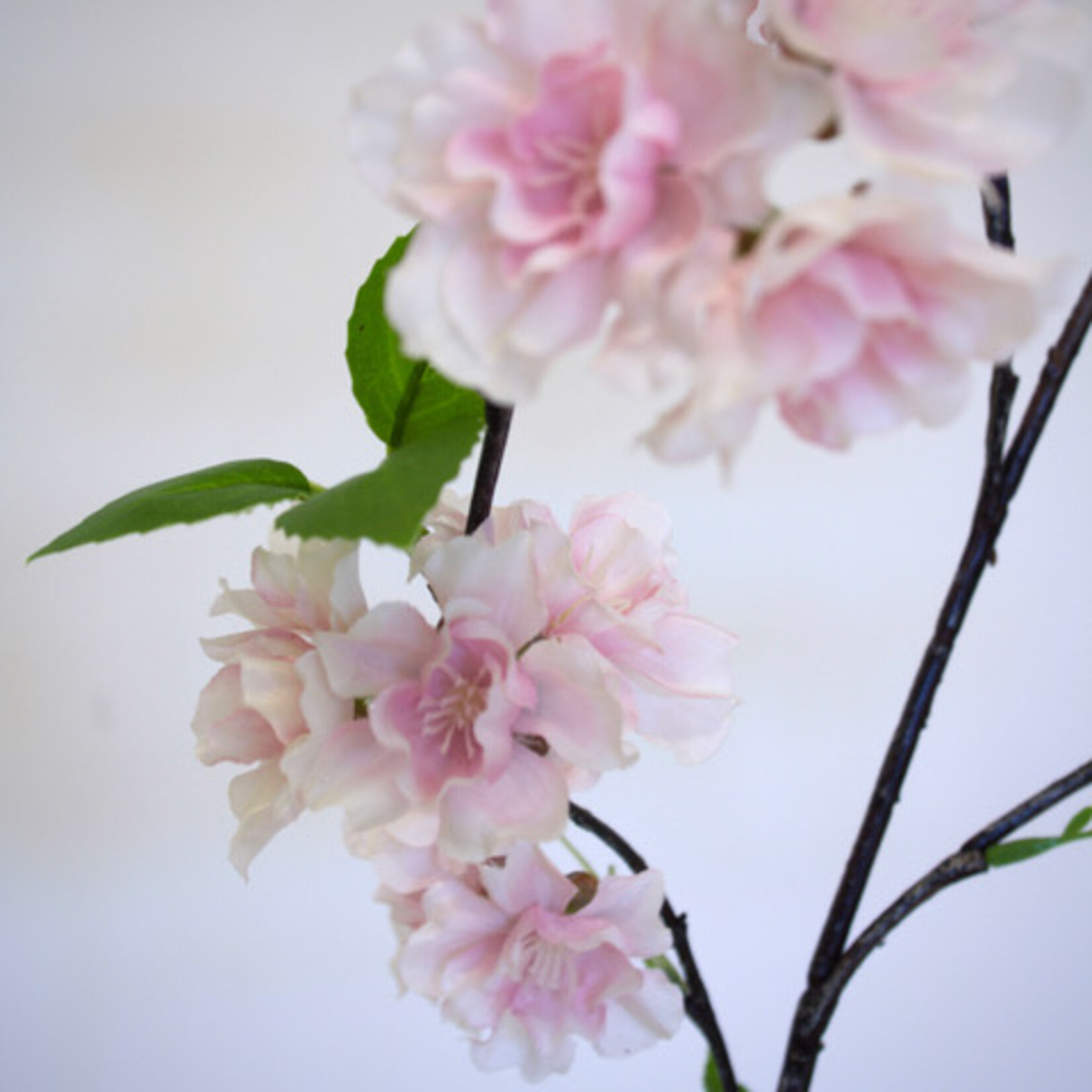BLOSSOM PRUNUS | PINK | 95 CM