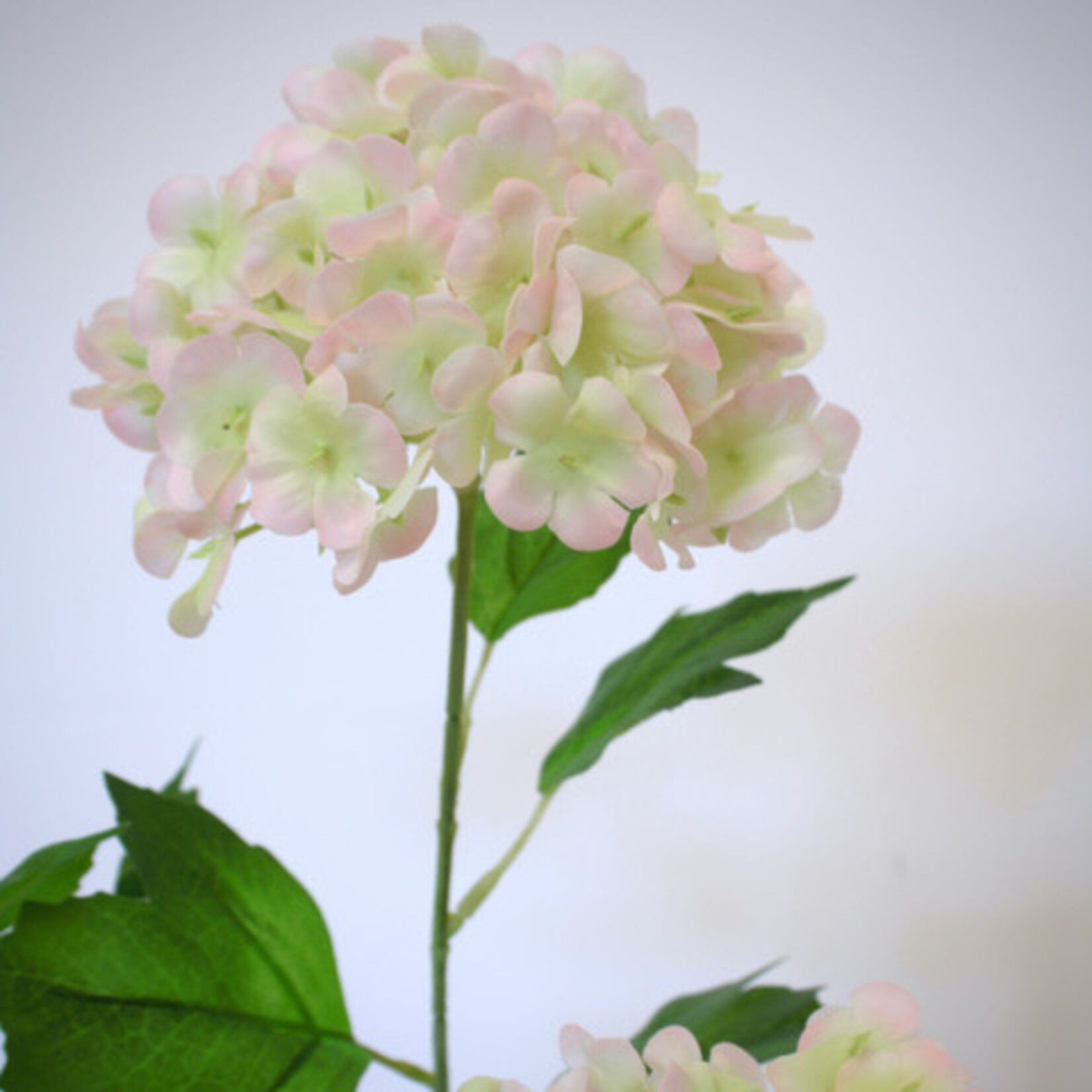 SNEEUWBAL | LICHT ROZE | 70 CM