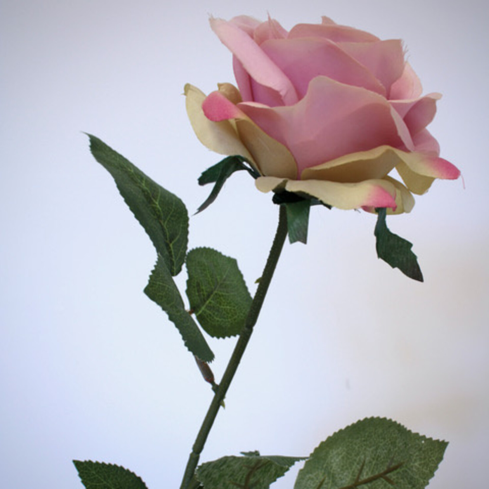 ROSE HEARTTHROB | PINK | 66 CM