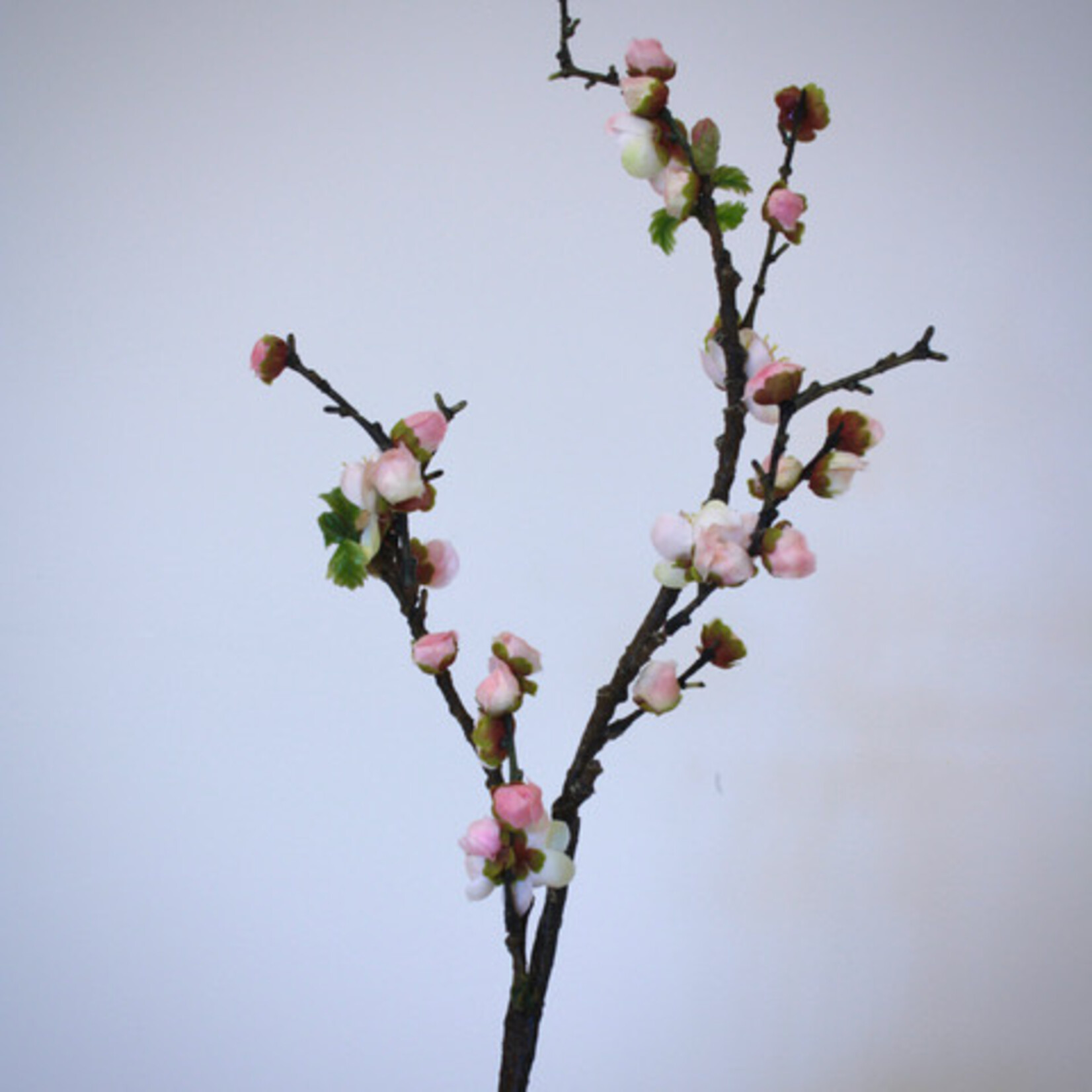 PRUIMEN BLOESEM  | ROZE | 45 CM